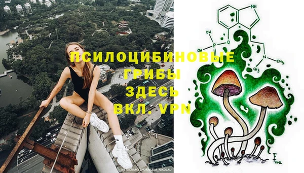 соль курить ск Карталы