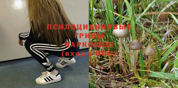 герыч Касимов